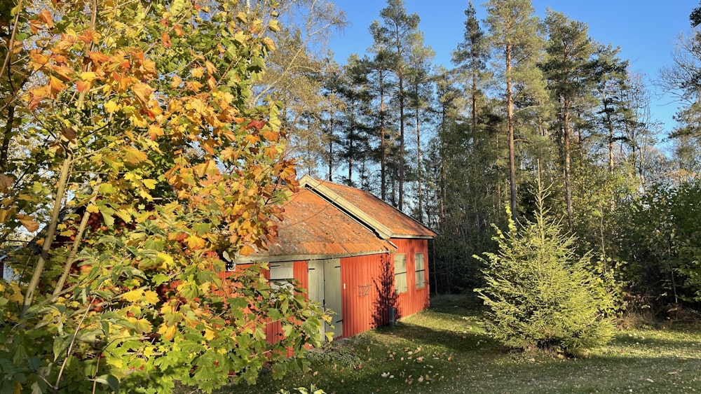 a small red building sitting in the middle of a forest