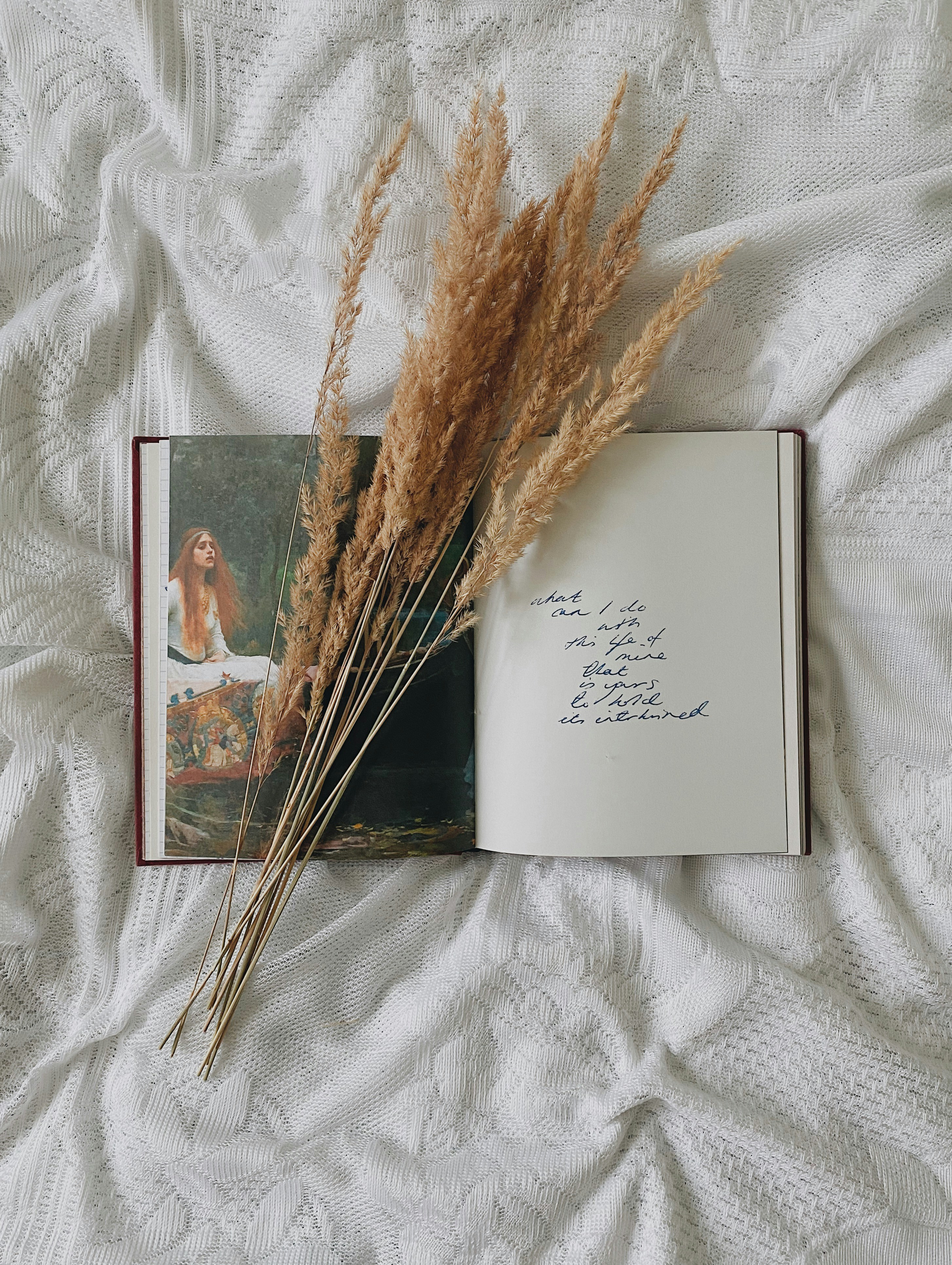 a book with a picture of a woman on it