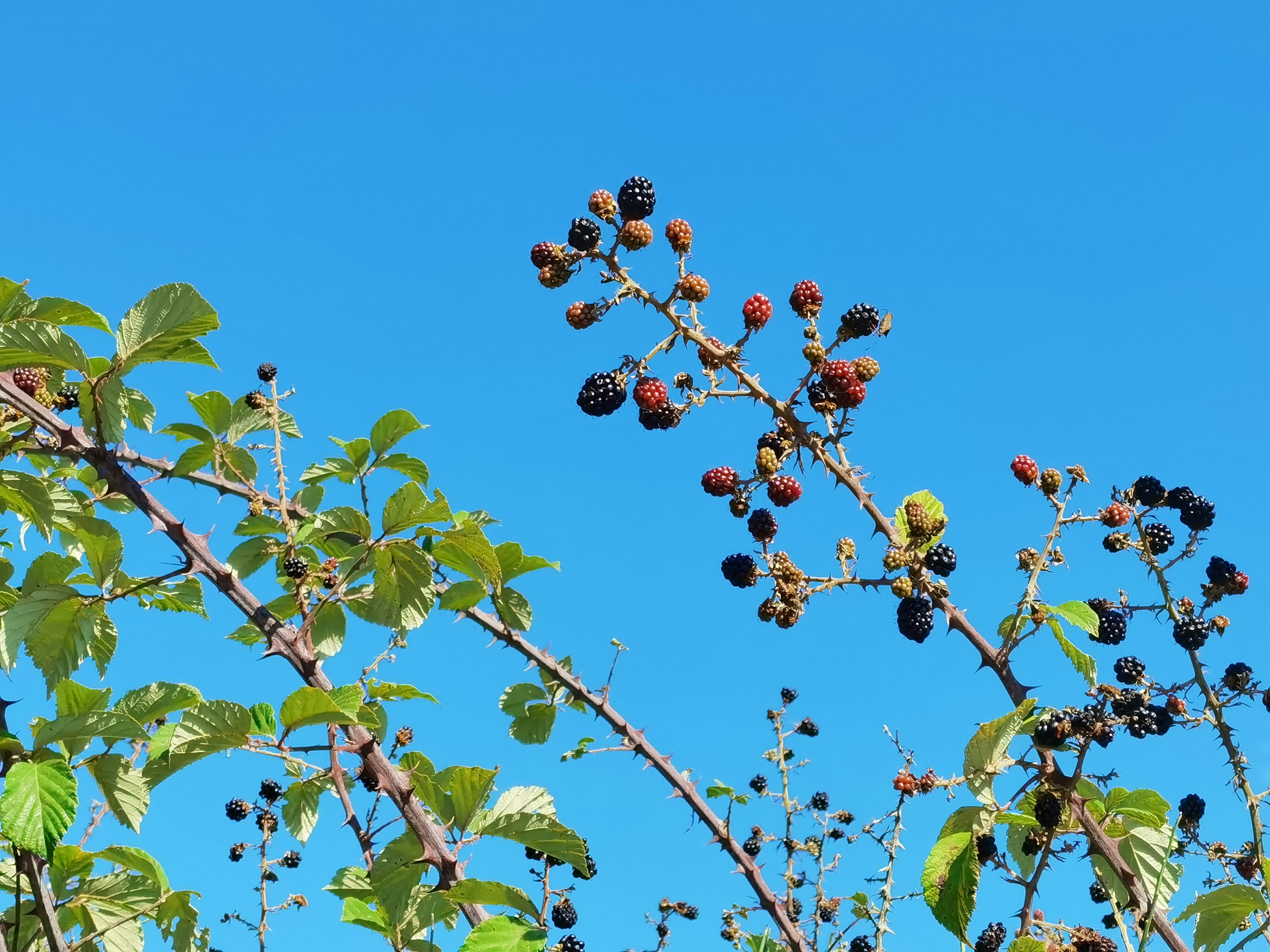 Photo by mariabolgiani