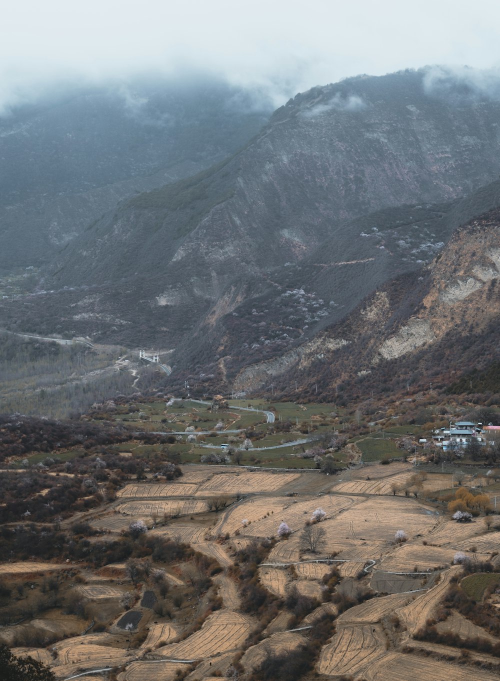 a view of a valley with a mountain in the background