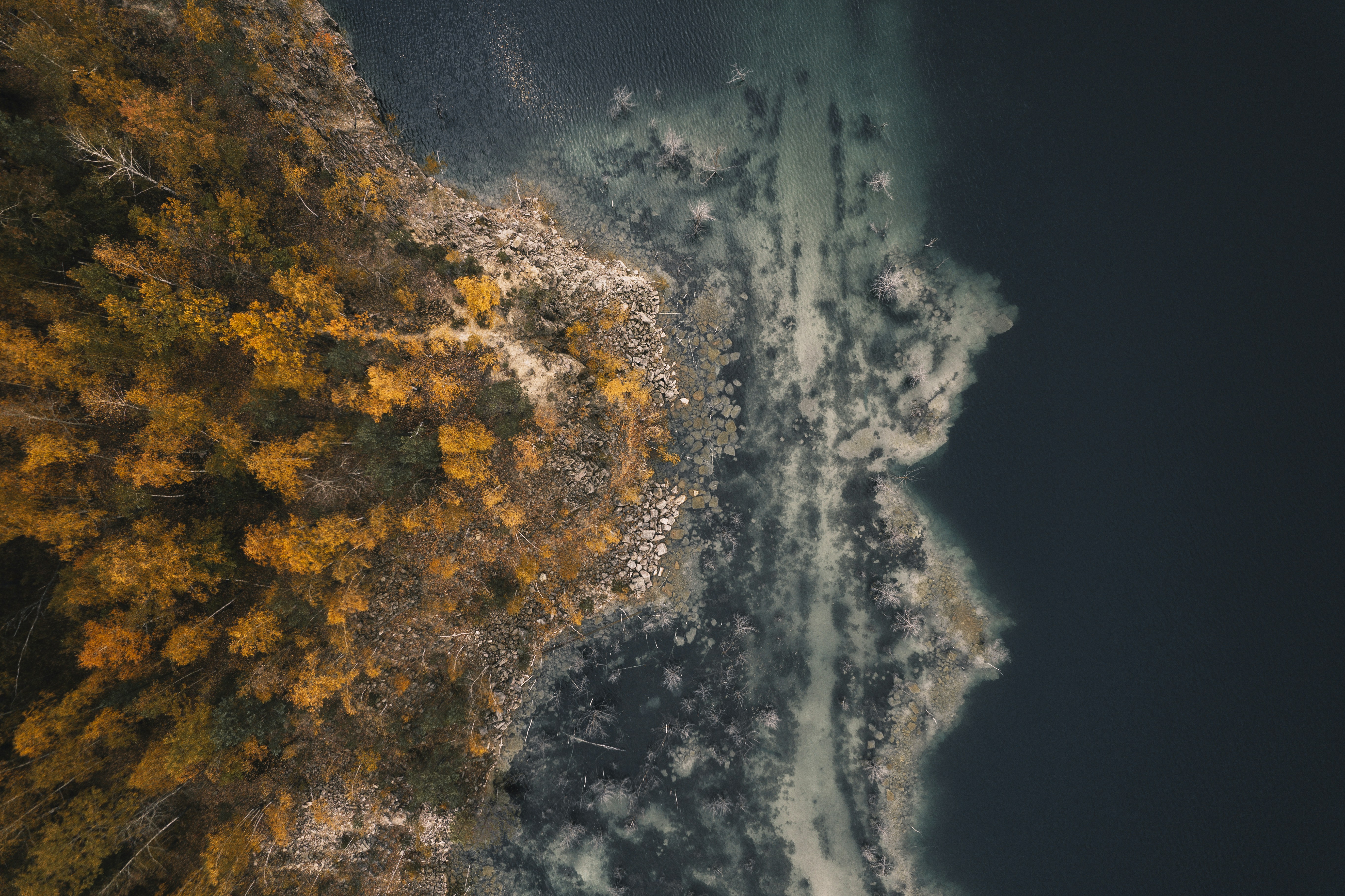 Photo by maksym_tymchyk