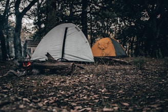 a couple of tents sitting in the middle of a forest