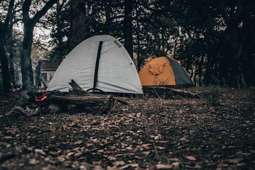 a couple of tents sitting in the middle of a forest