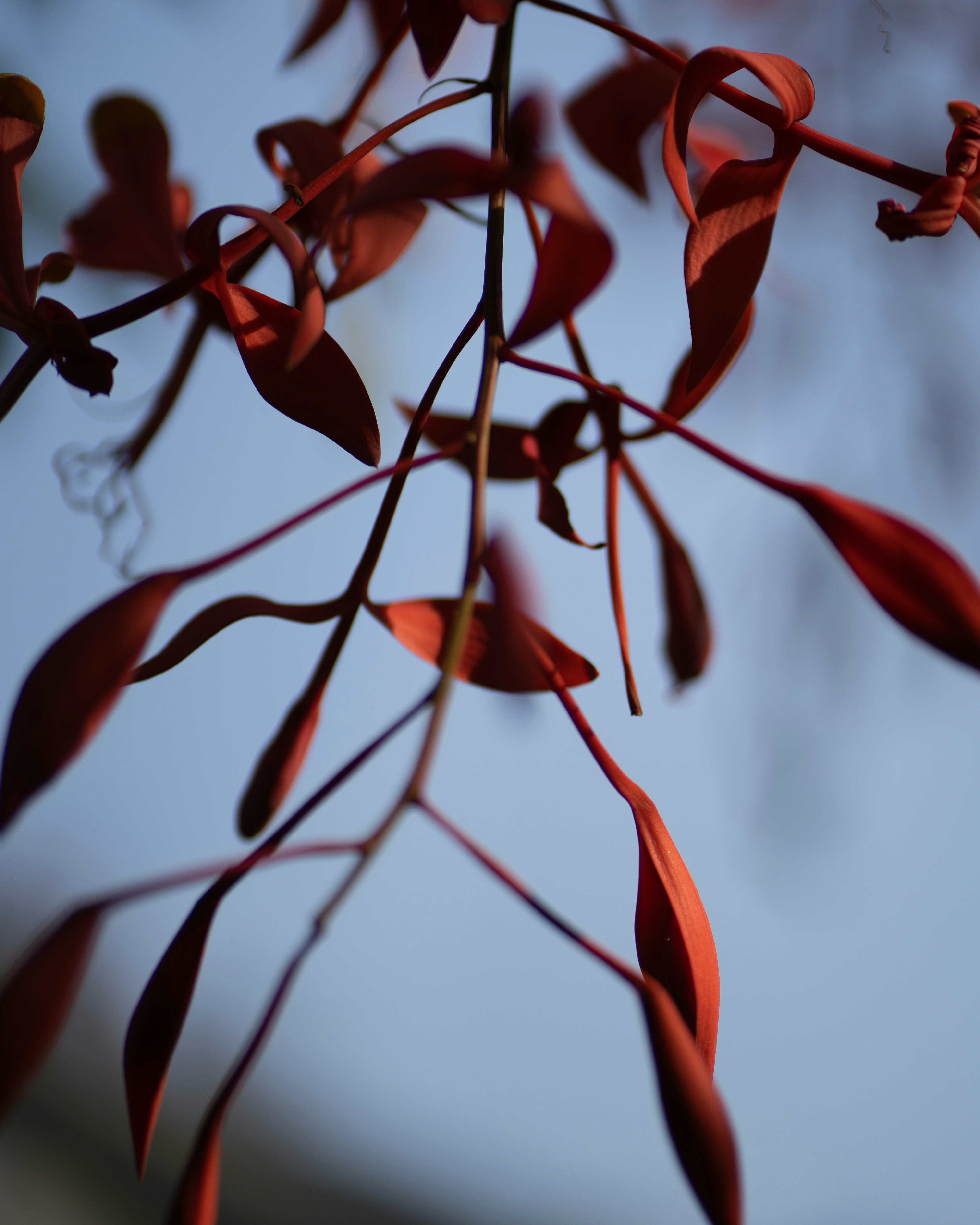 Photo by singhrupinder