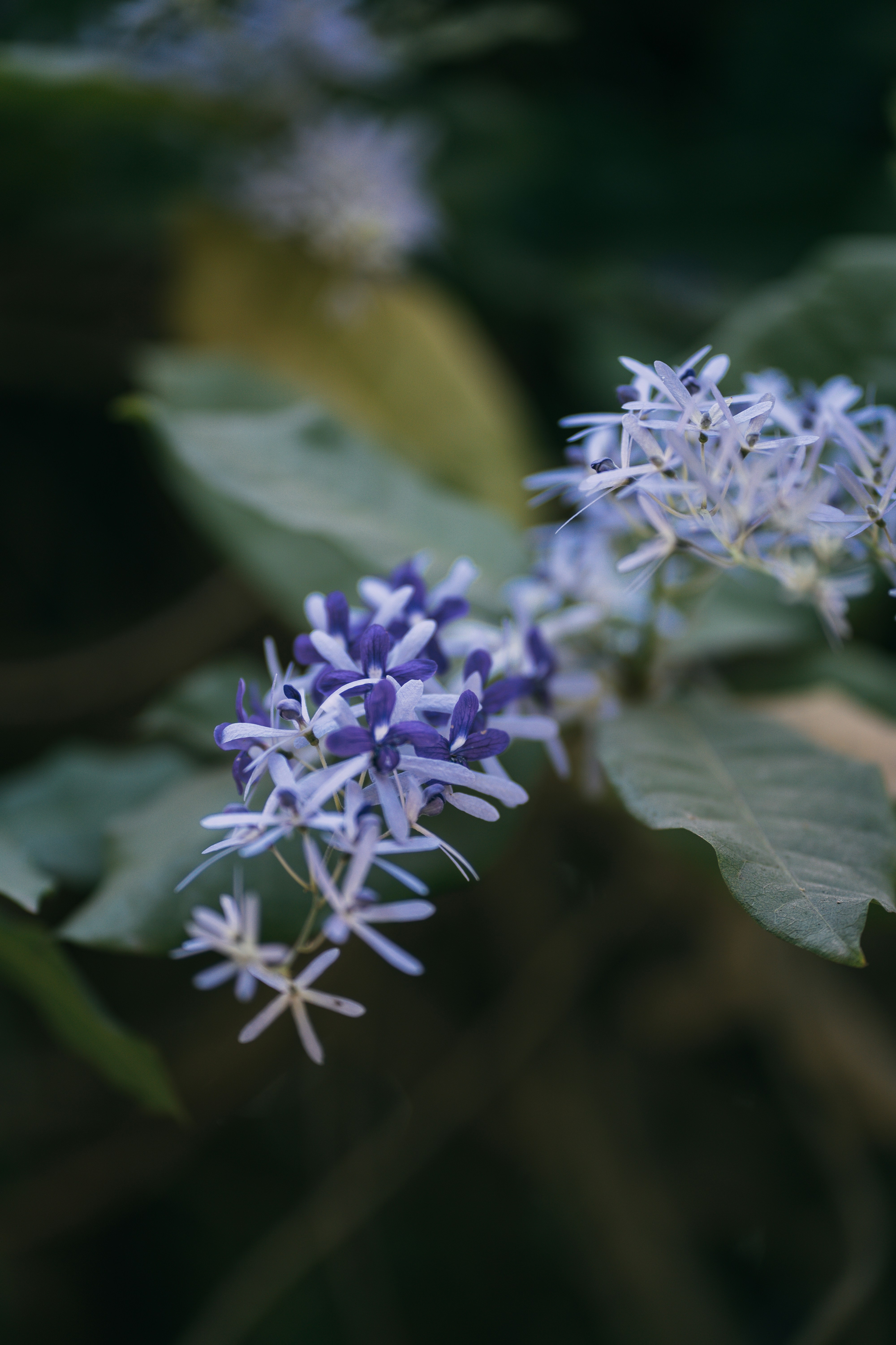 Photo by singhrupinder