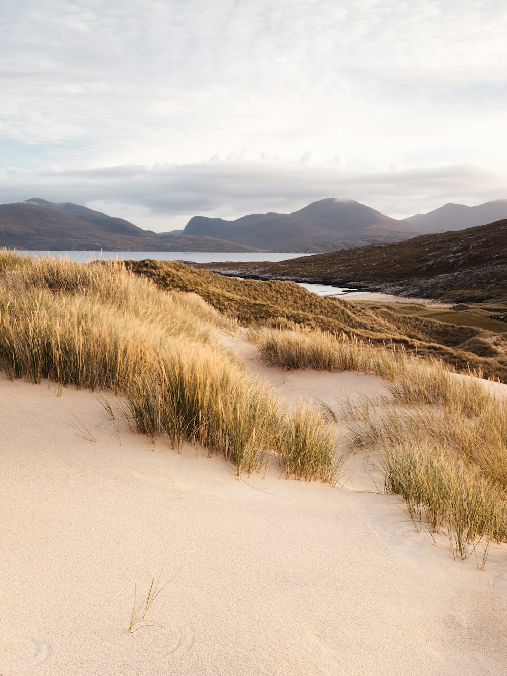 a sandy area with grass and mountains in the background