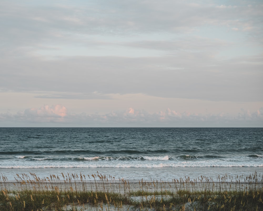 a person walking on the beach with a surfboard