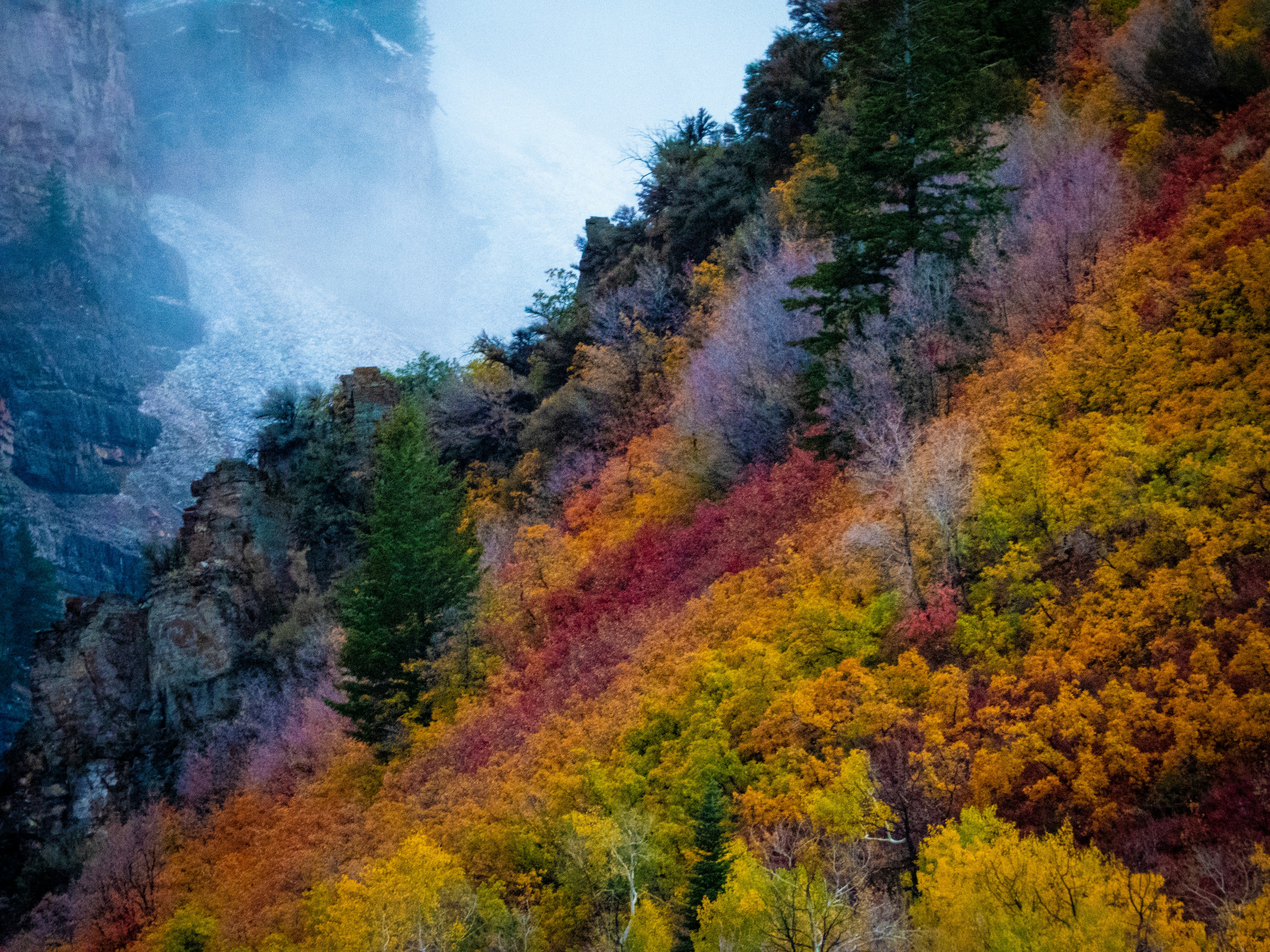 a mountain side with trees and fog in the background