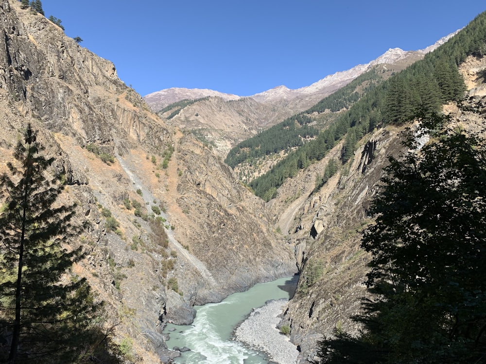 a river flowing through a canyon surrounded by mountains