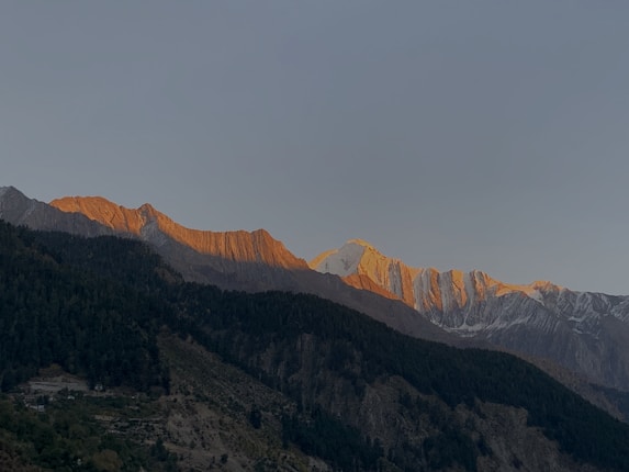 A mountain range is seen at sunrise or sunset with the peaks bathed in a warm orange glow. The foreground shows dense, dark green forested slopes. The sky is clear with a gradient of lightness towards the top.