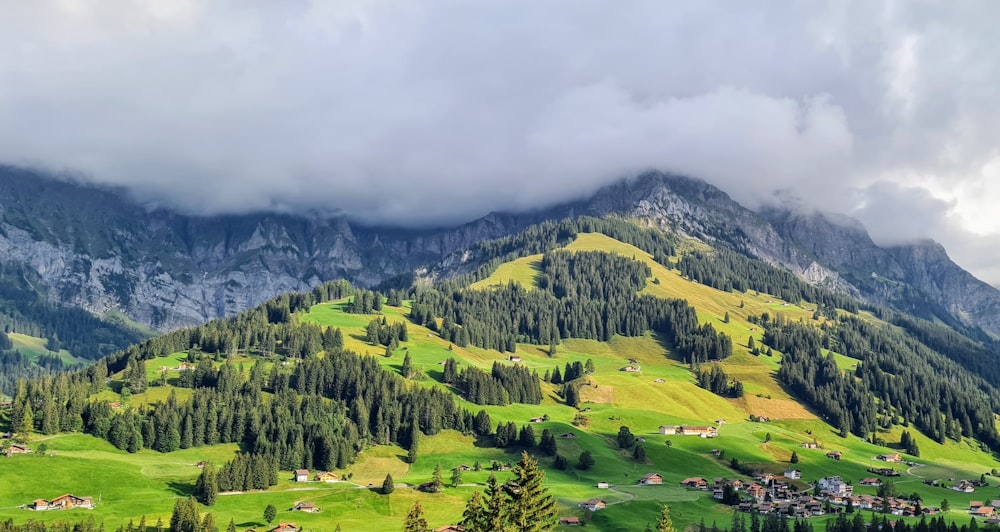 a lush green hillside covered in trees under a cloudy sky