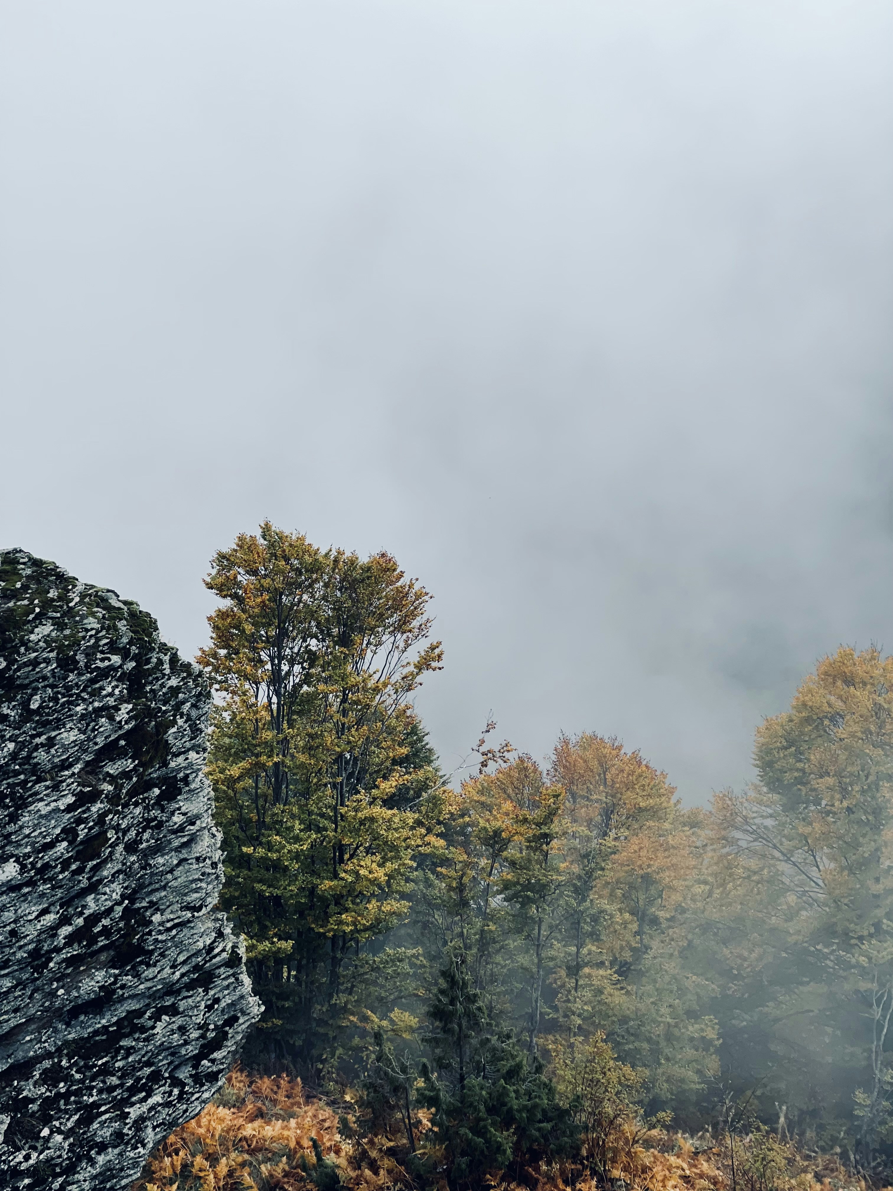 a rocky outcropping with trees in the background