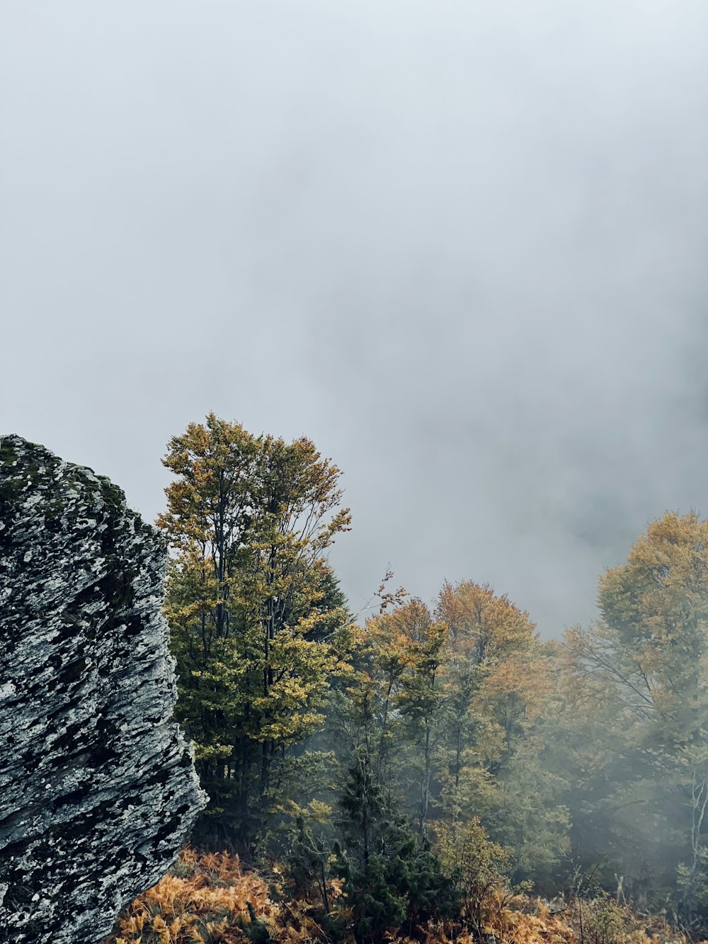 a rocky outcropping with trees in the background