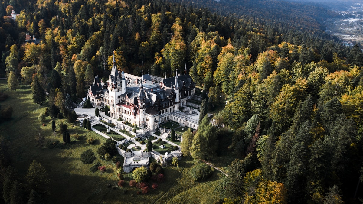 Aerial view of a fortress surrounded by forest