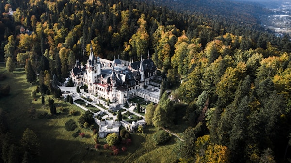 Vedere aeriană a unei cetăți înconjurate de pădure