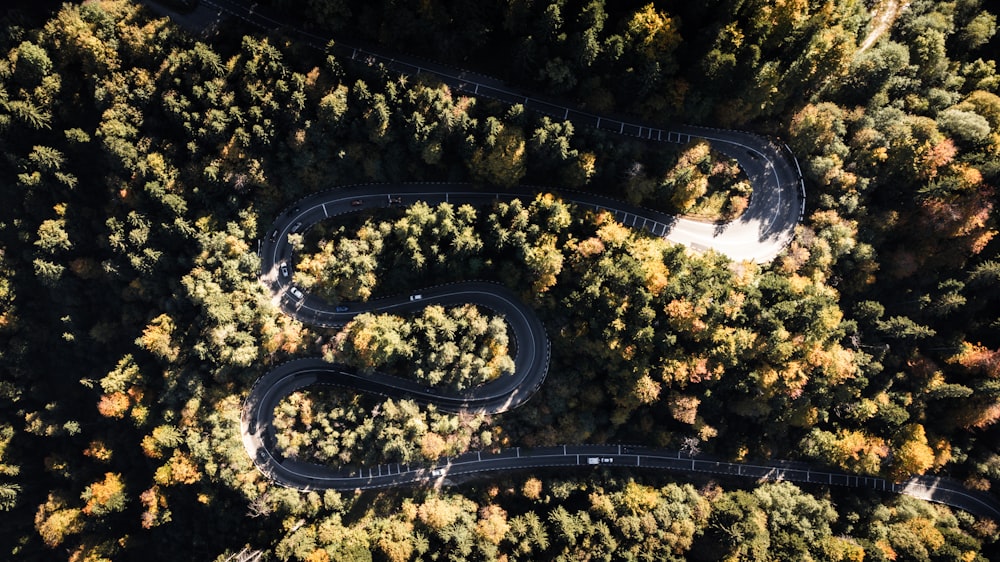 an aerial view of a winding road surrounded by trees