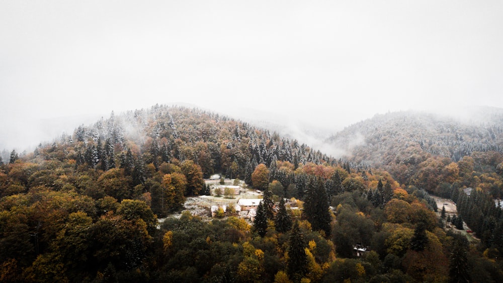 a house on a hill surrounded by trees