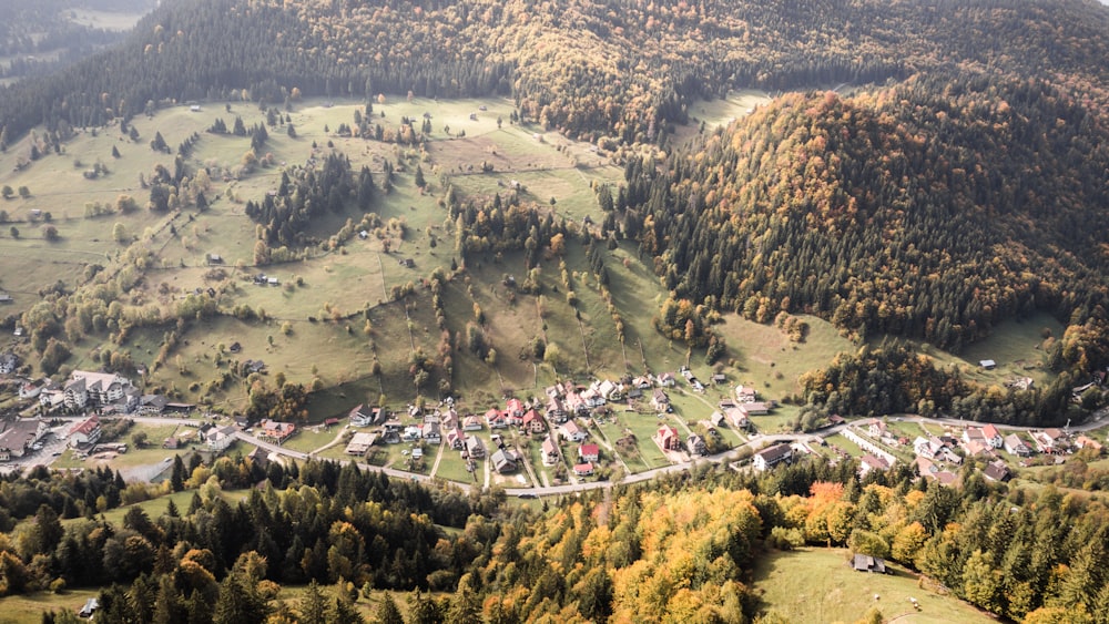 an aerial view of a small town surrounded by trees