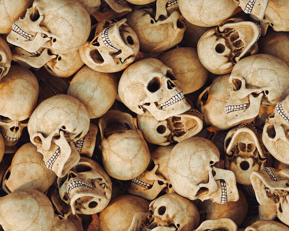 a bunch of skulls that are stacked together