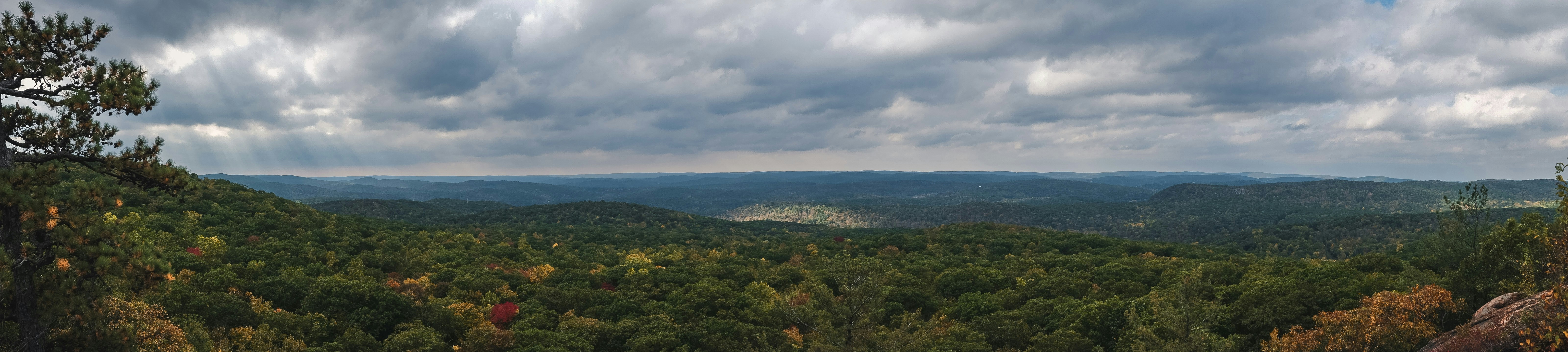 a view of a forest from a high point of view