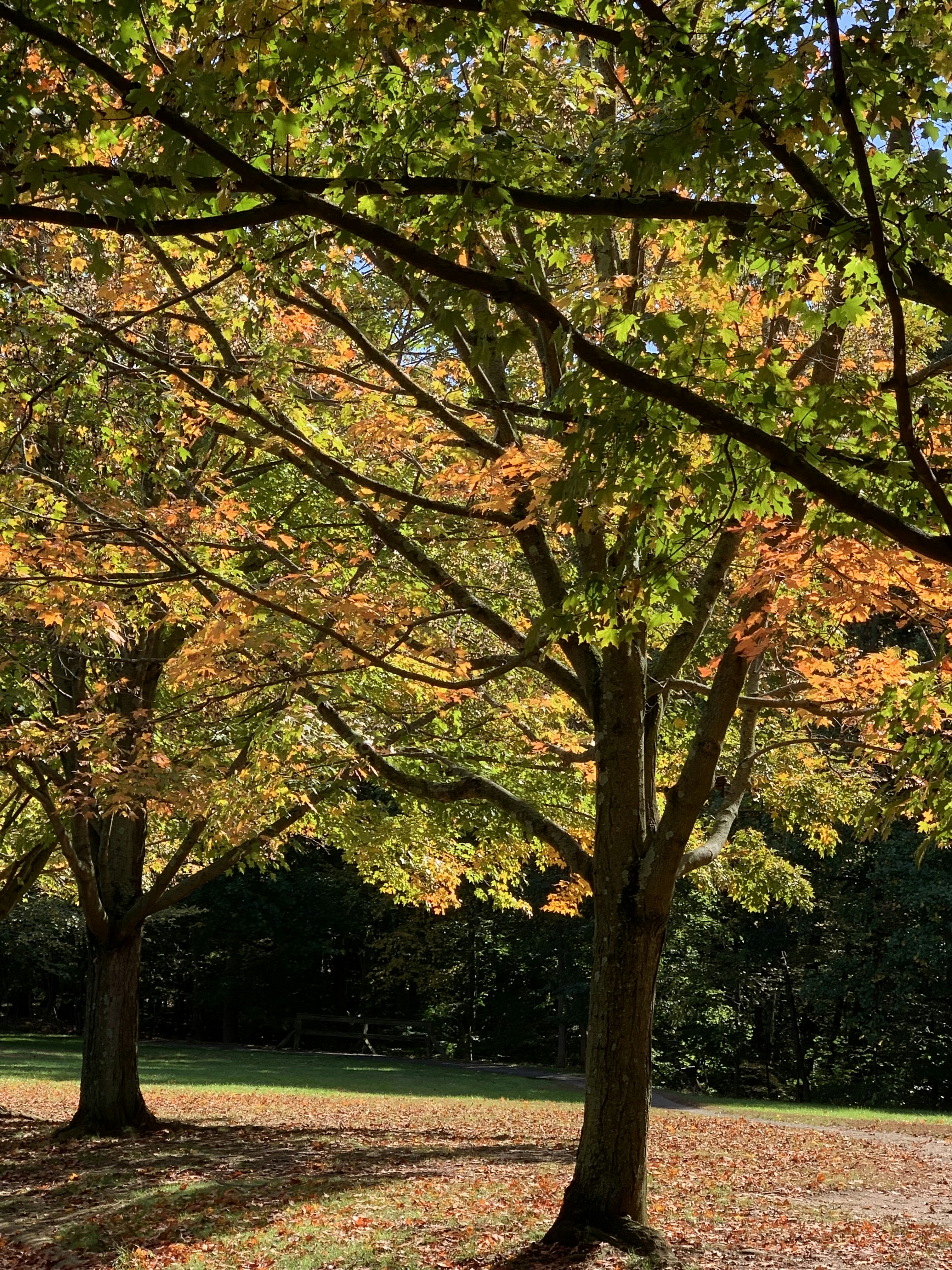 Photo by kathleen1215