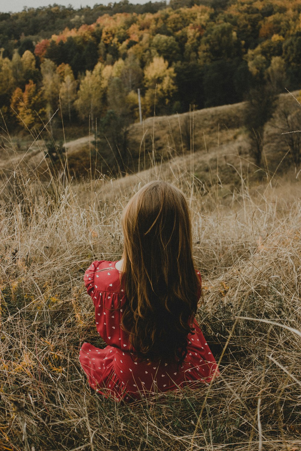 a woman in a red dress sitting in a field