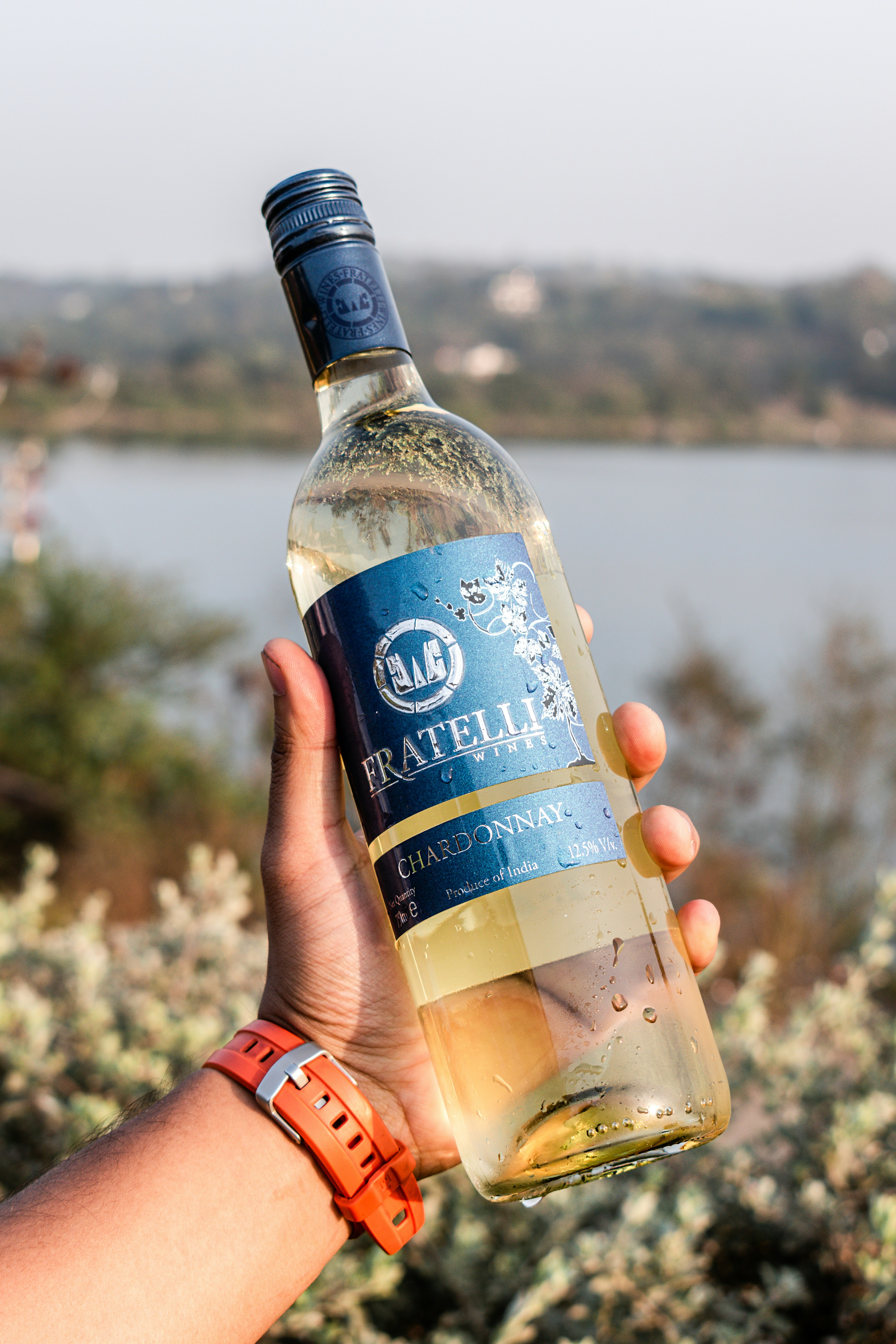 a person holding a bottle of wine in their hand