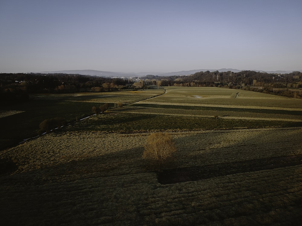 an aerial view of a field with a lone tree