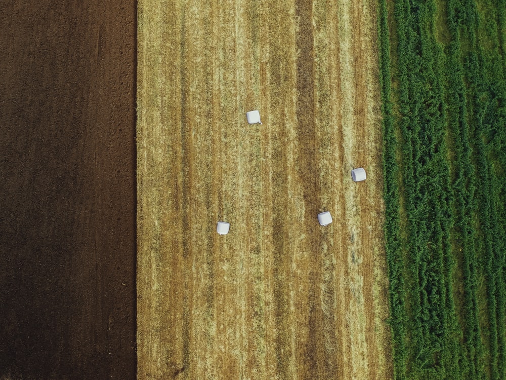 a large field with a couple of bales of hay in the middle of it