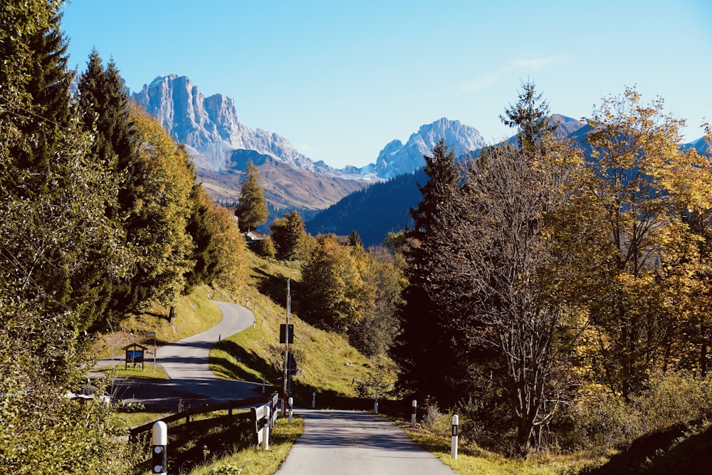 a winding road surrounded by trees with mountains in the background