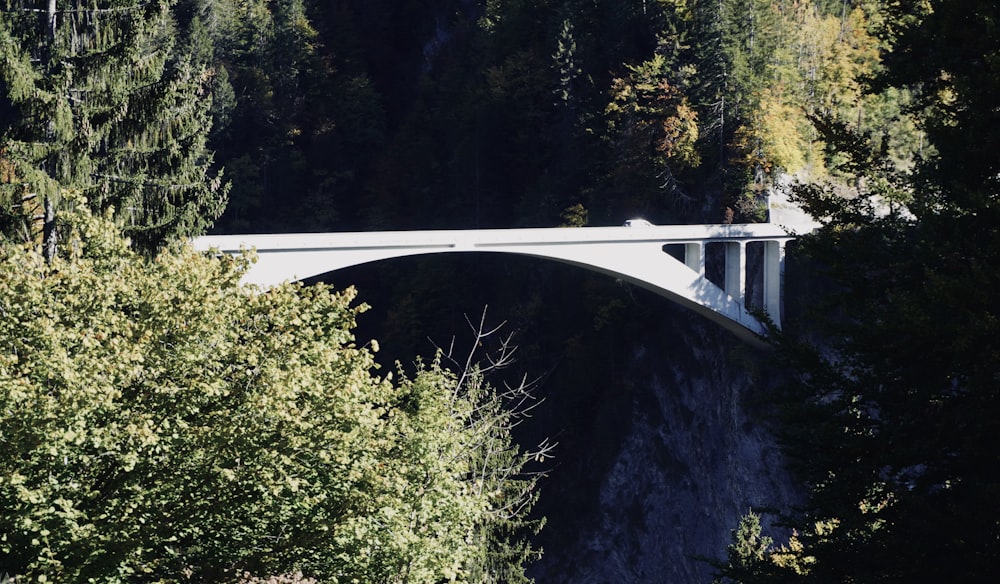 Eine Brücke über einen Fluss, umgeben von Bäumen