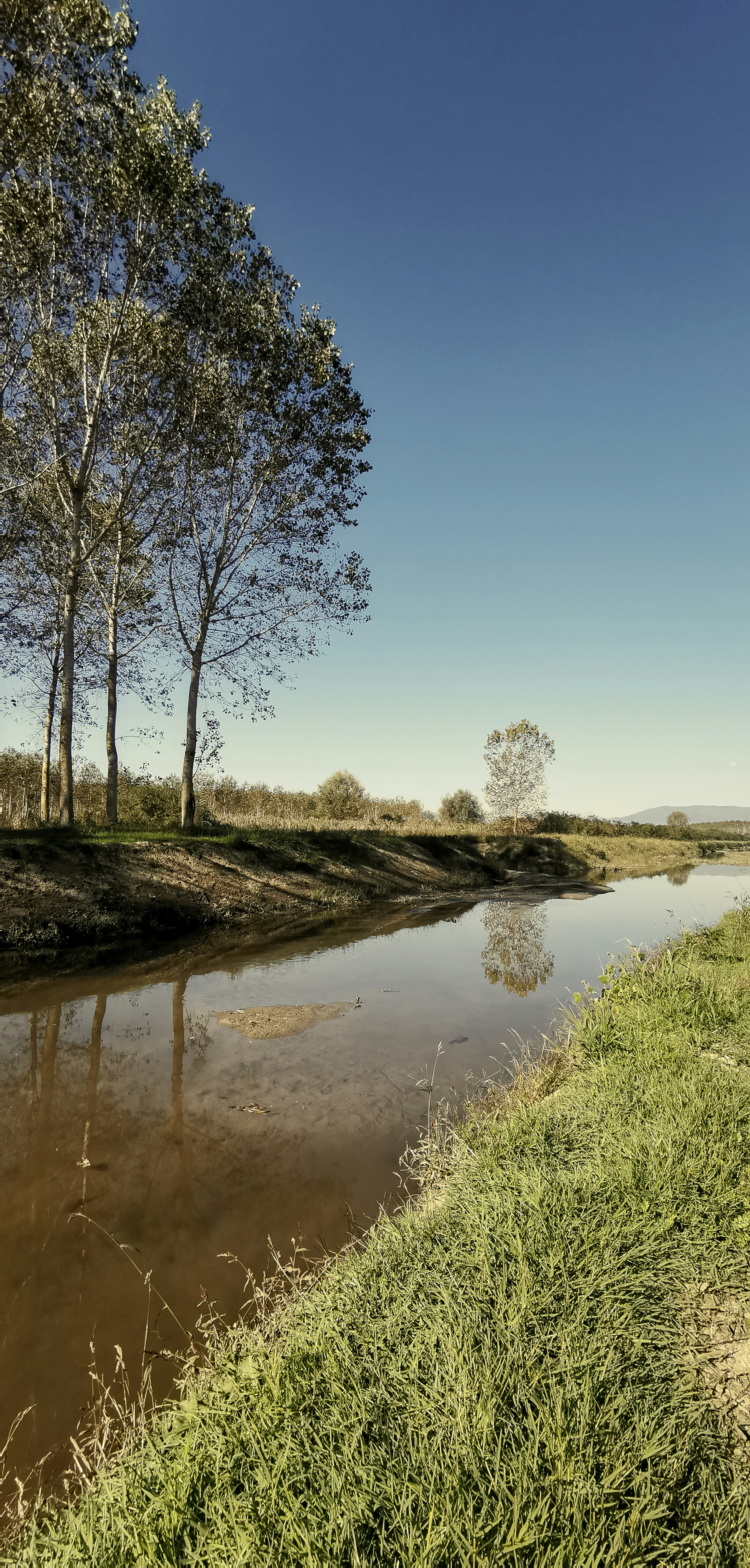 ein Gewässer, umgeben von Gras und Bäumen