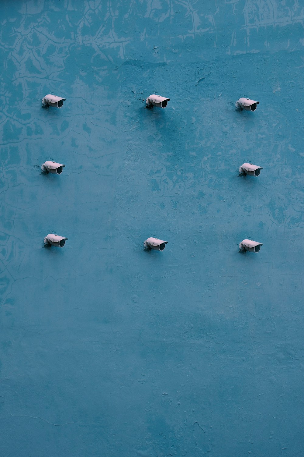a flock of birds sitting on top of a blue surface
