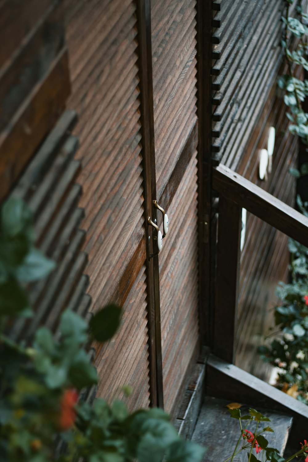 a wooden door with a plant in front of it