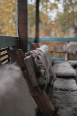 A cozy seating area with rustic furniture.