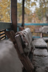 Wool Throw Blanket