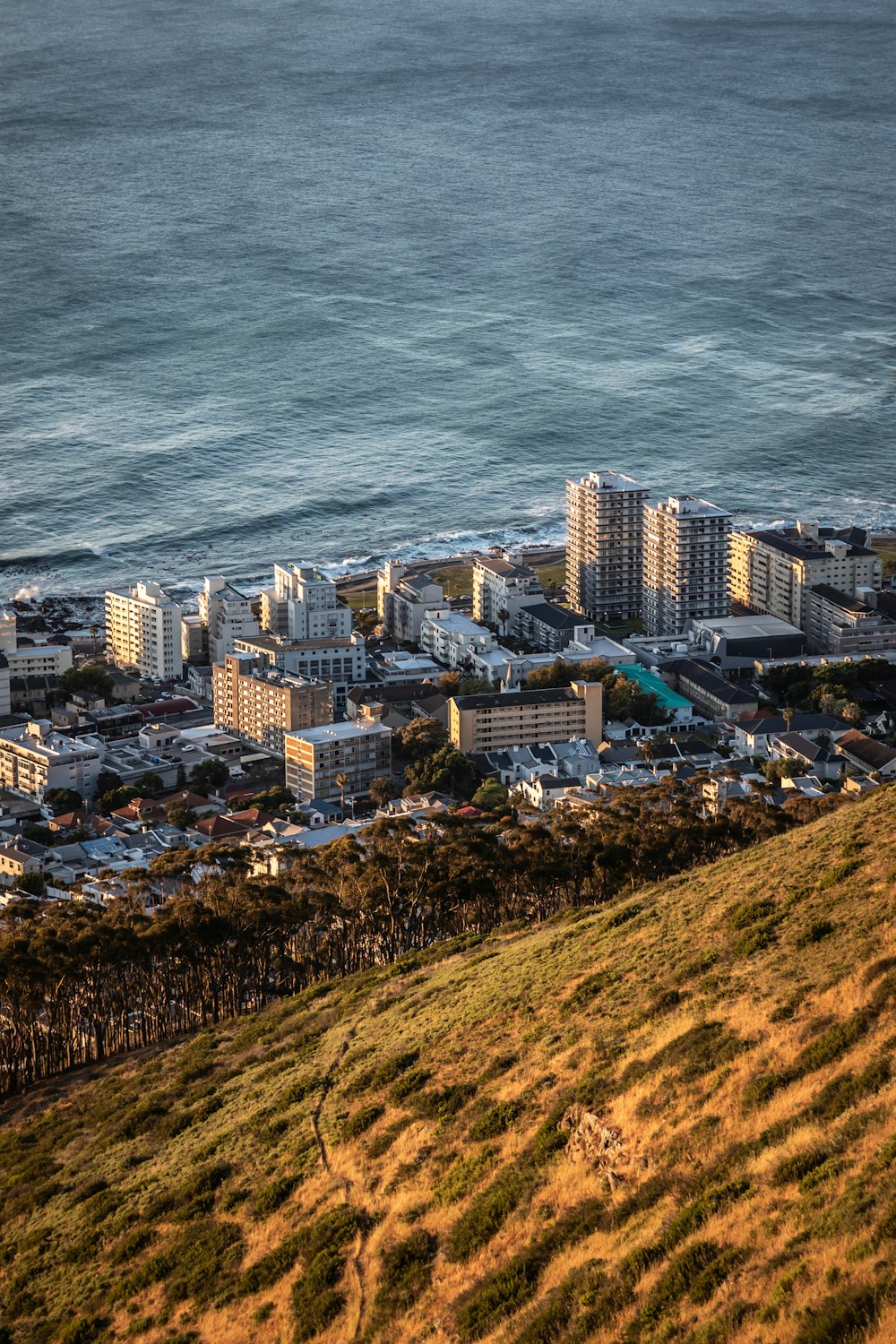 a view of a city from the top of a hill