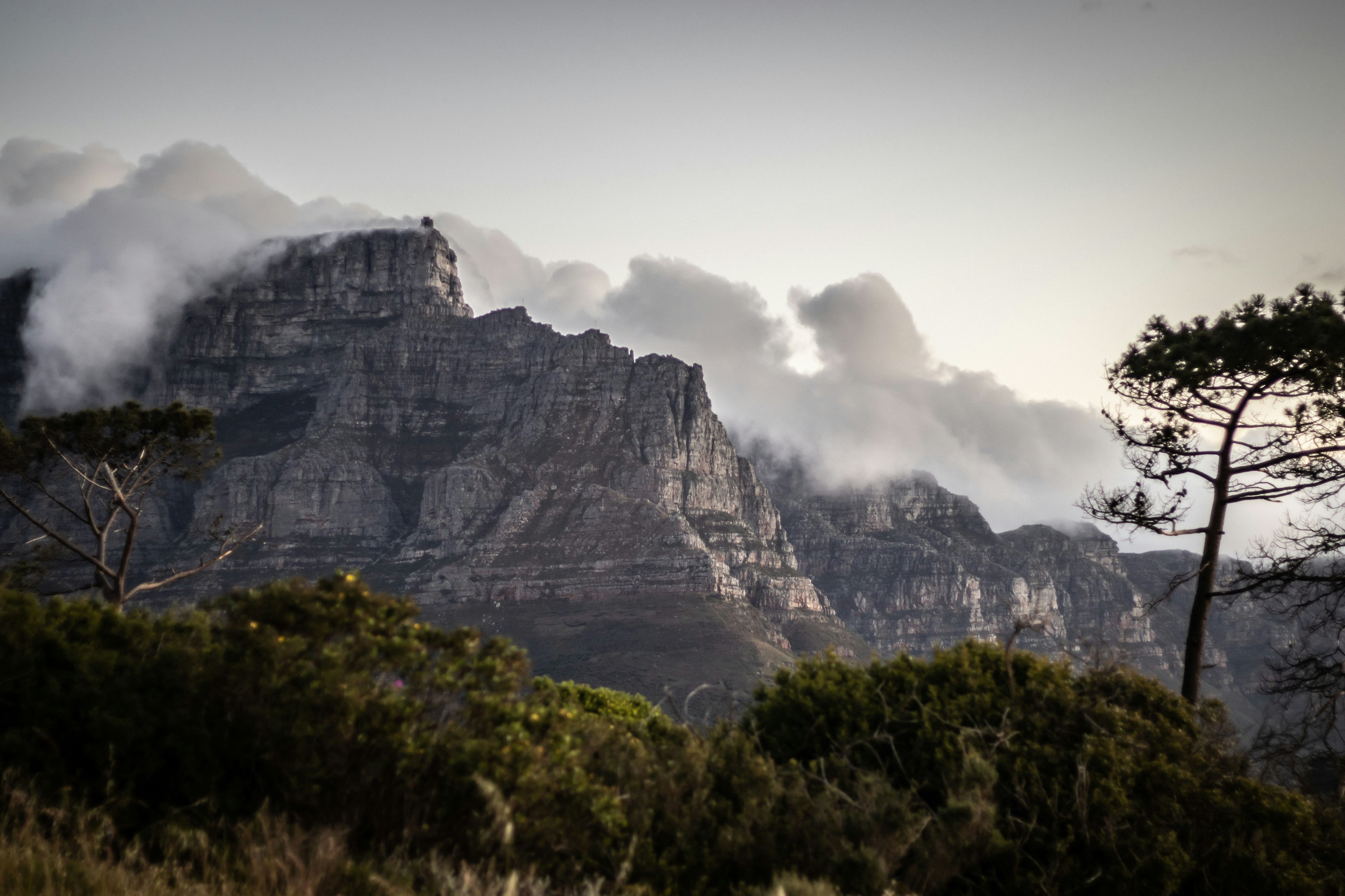 Photo by kaldenswart