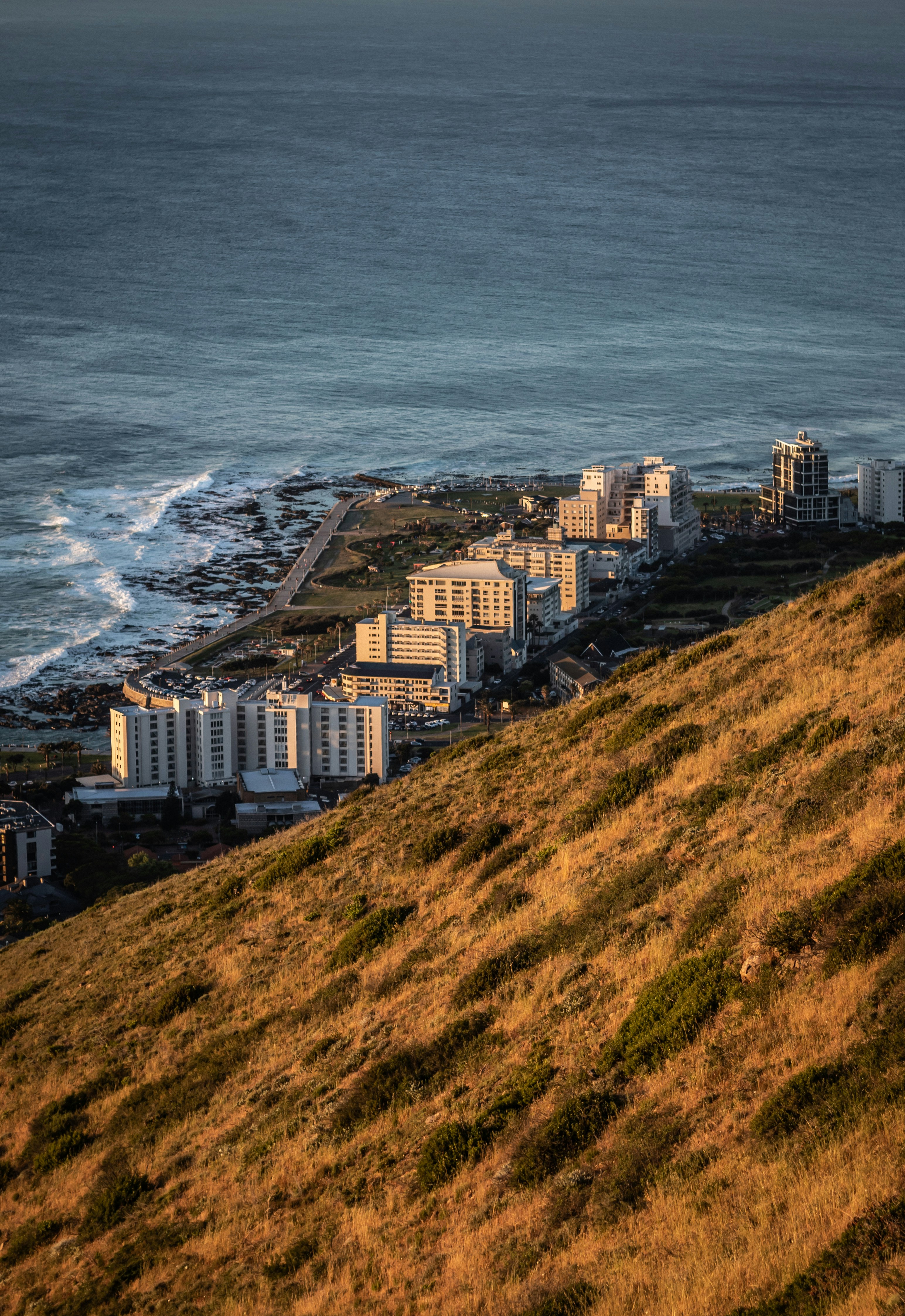 Un mouton debout au sommet d’une colline verdoyante