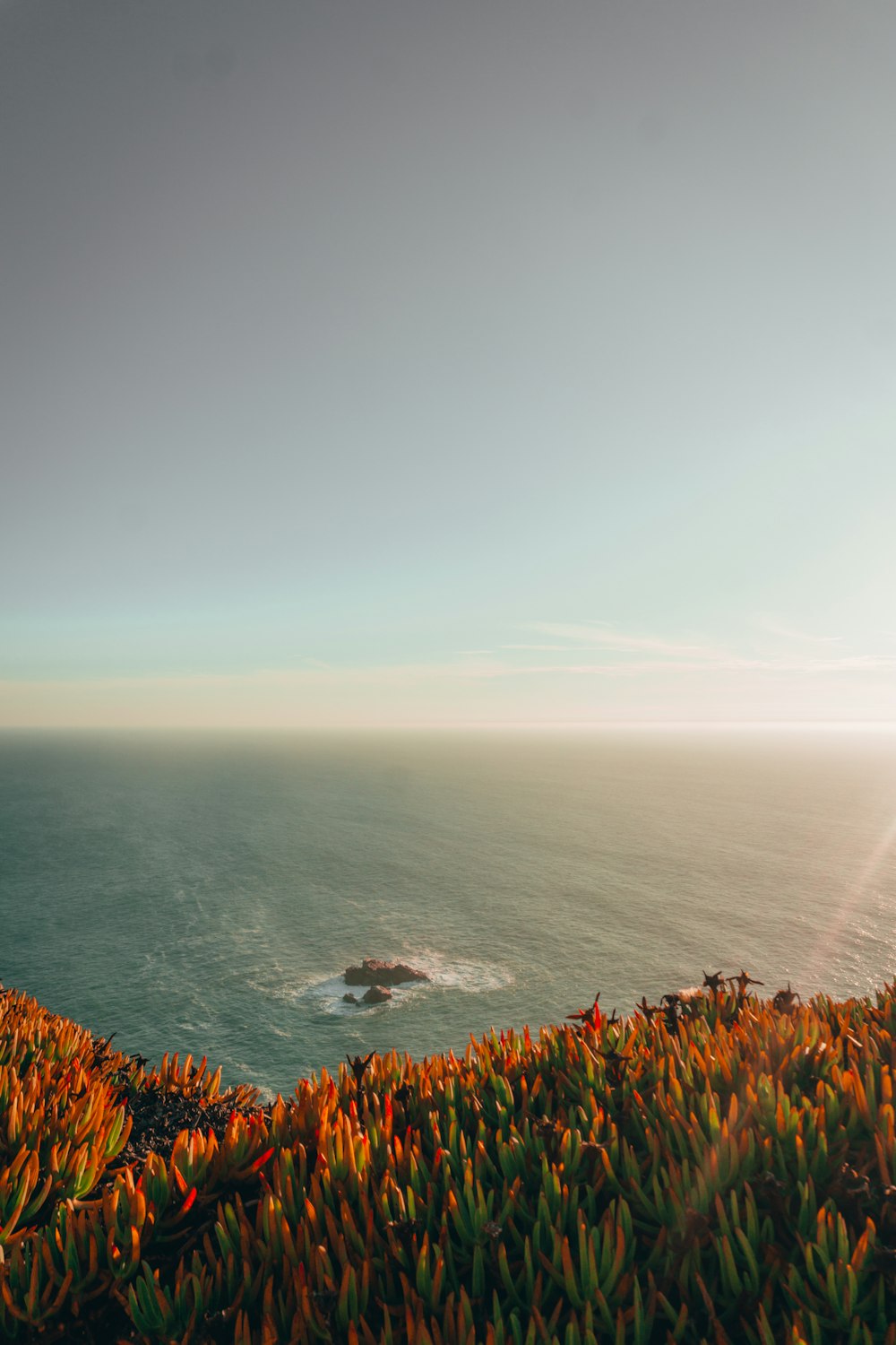 a view of the ocean from the top of a hill