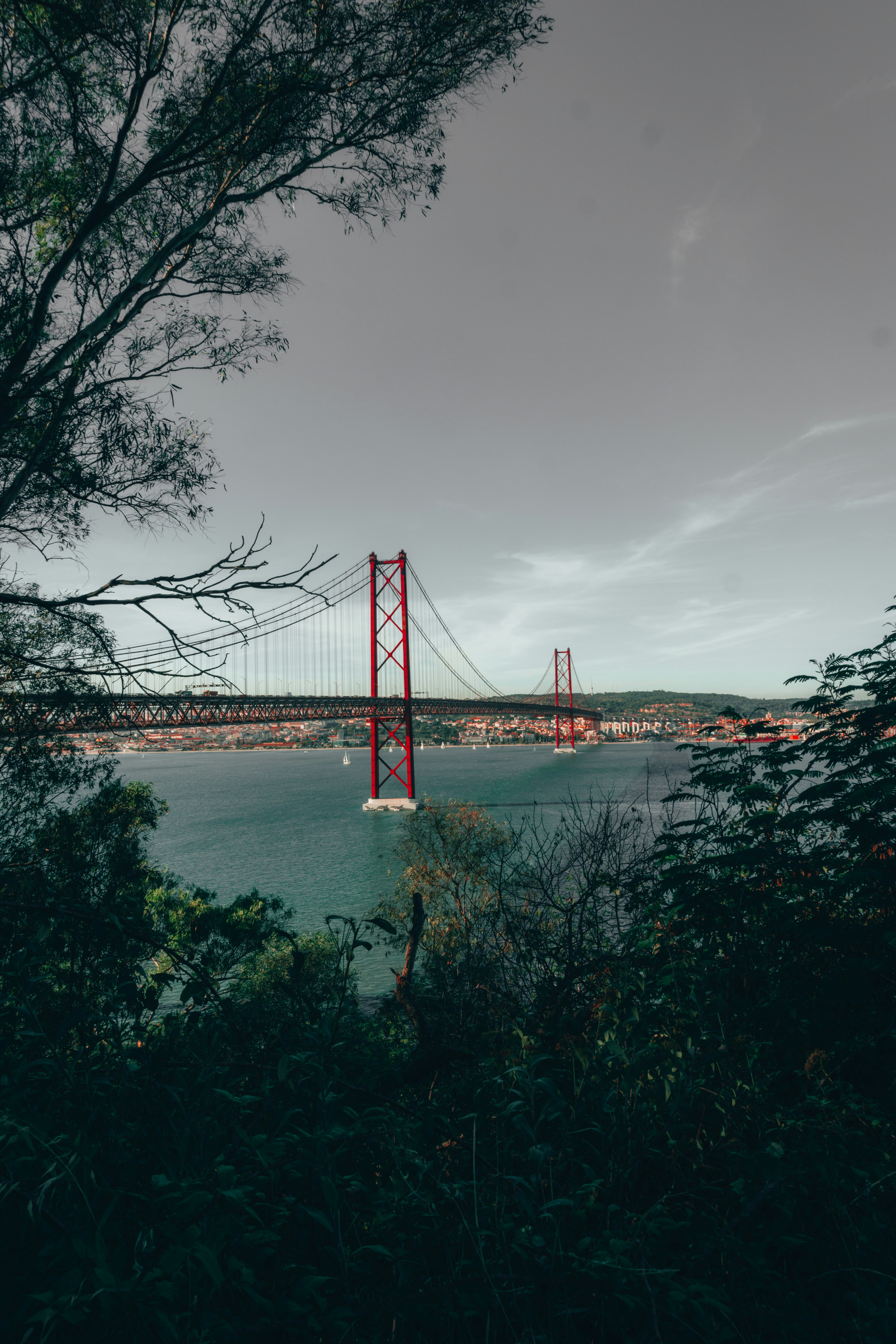 Photo by mateipruteanu