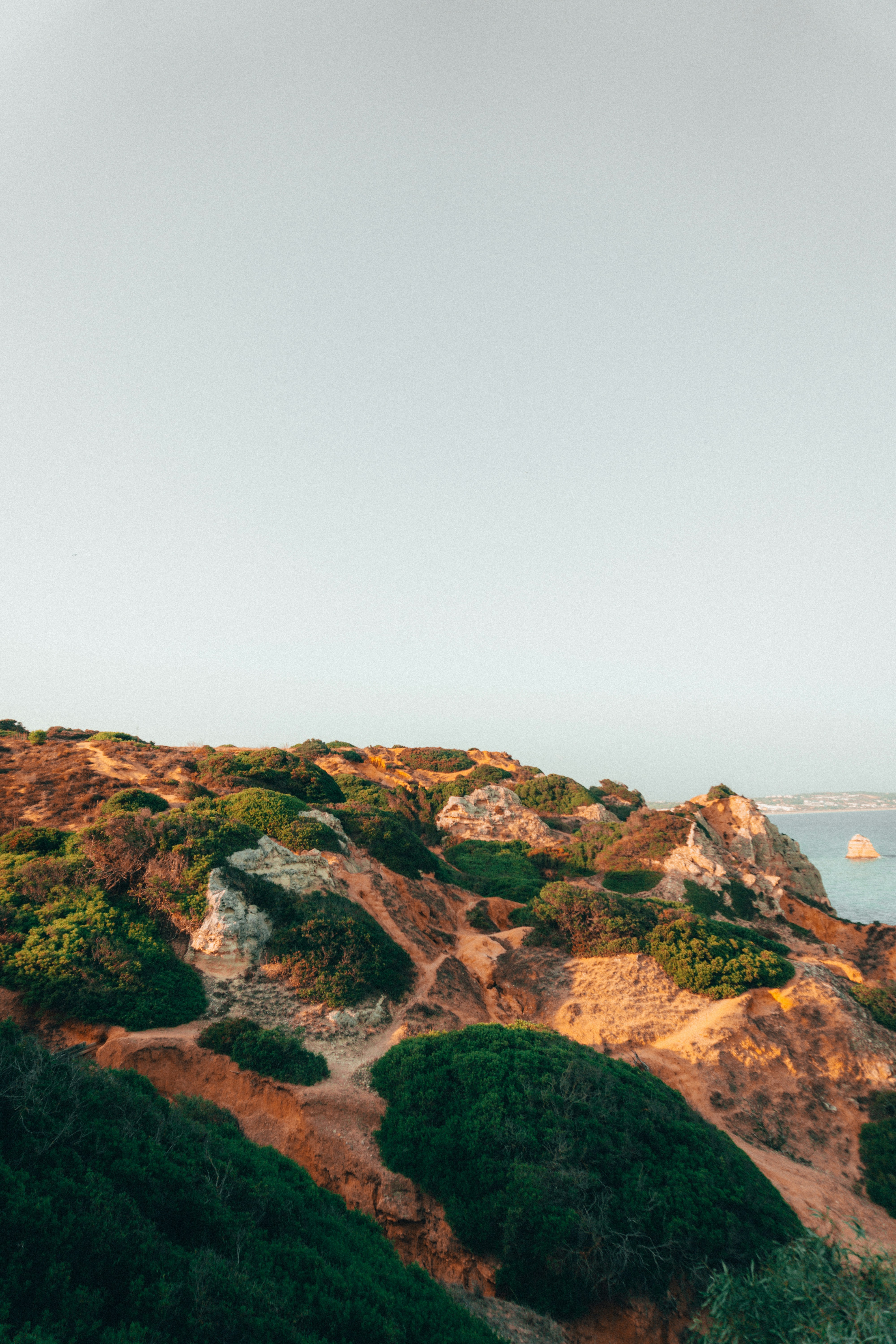 Photo by mateipruteanu