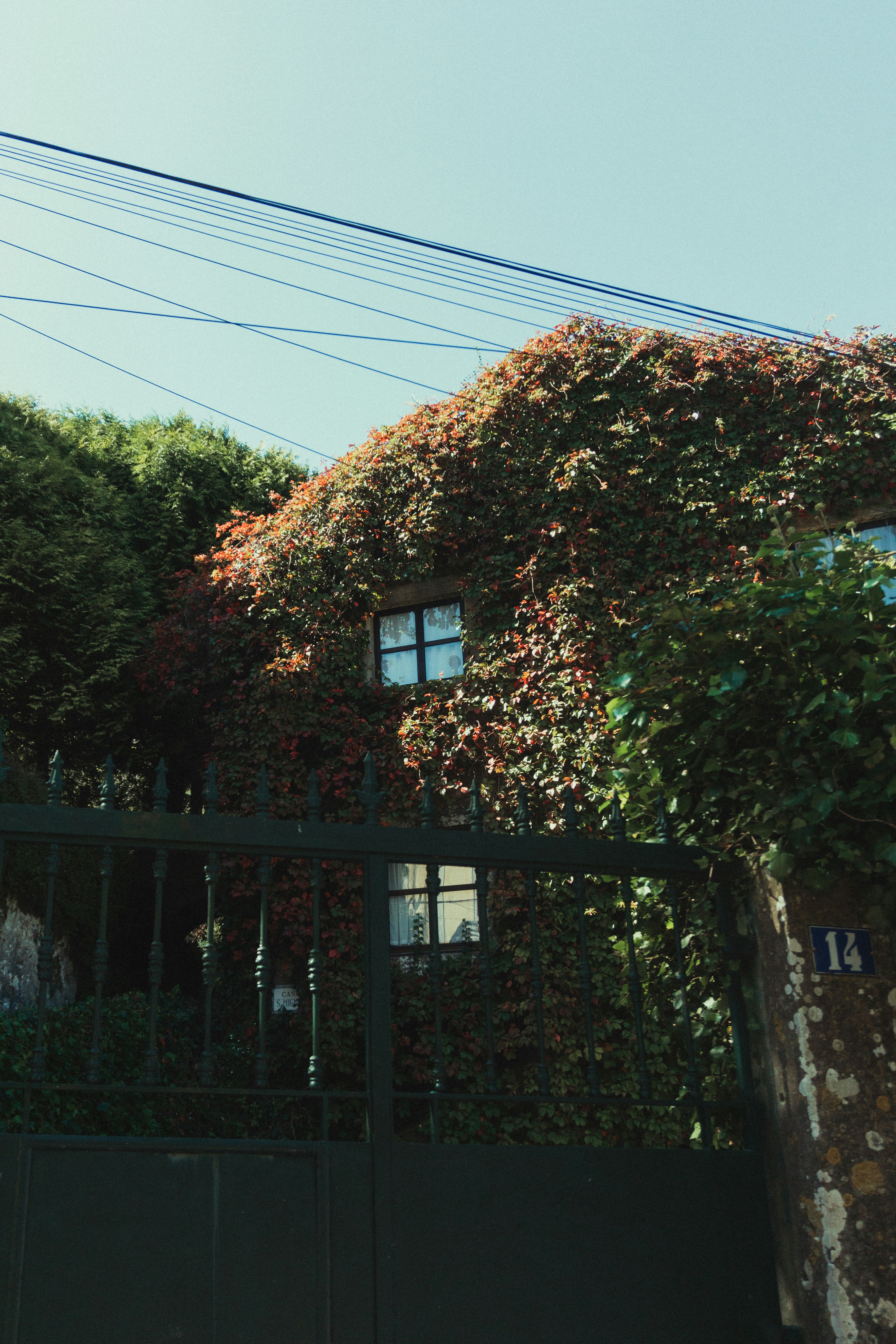 Photo by mateipruteanu