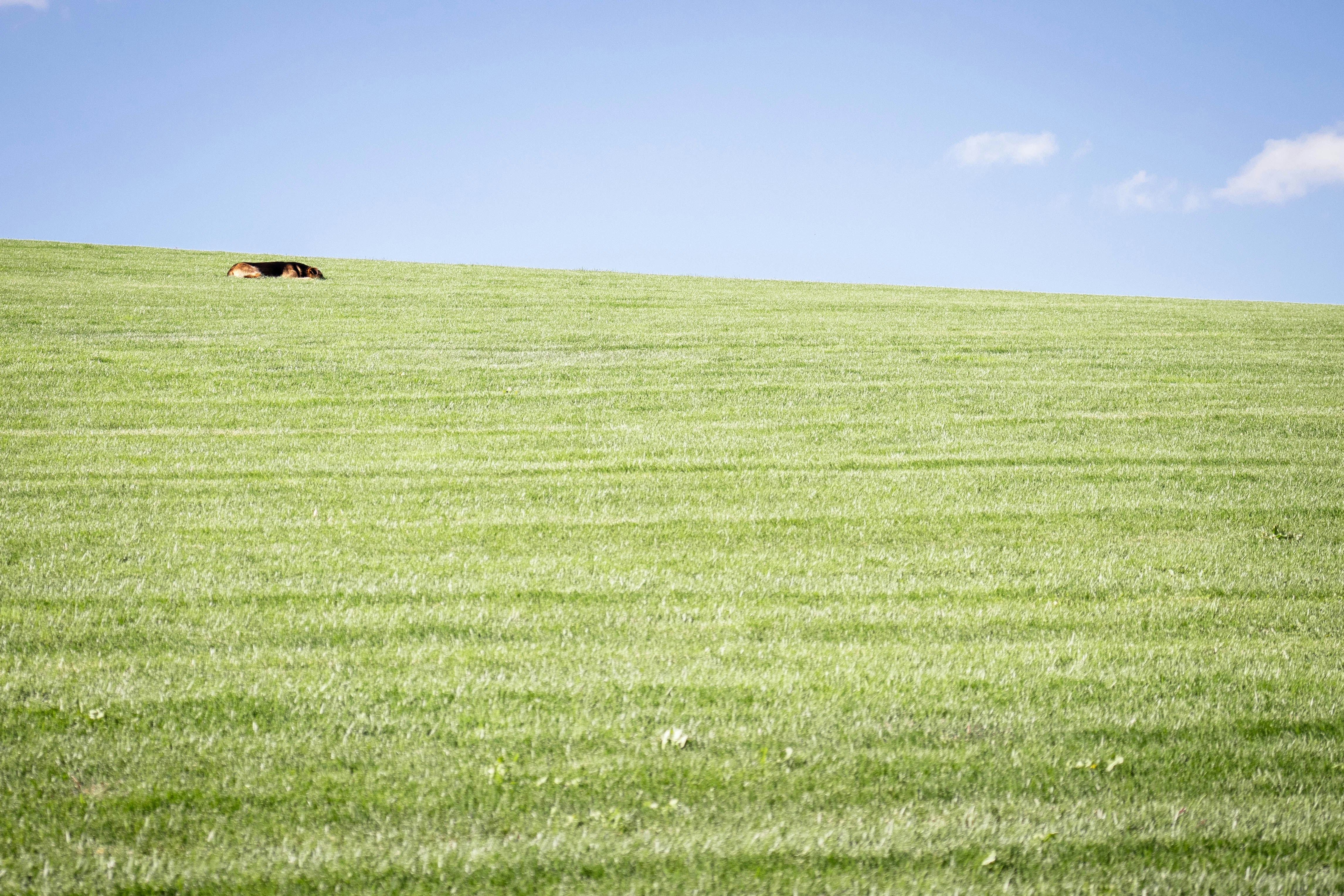 Photo by alpridephoto