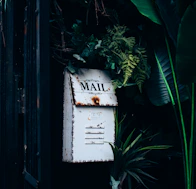 an old mailbox is surrounded by tropical plants