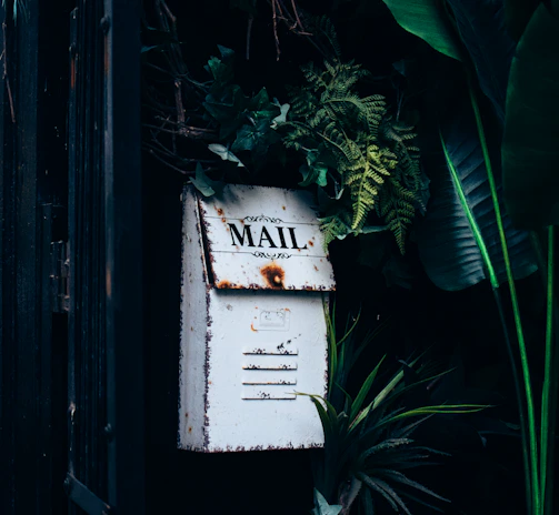 an old mailbox is surrounded by tropical plants