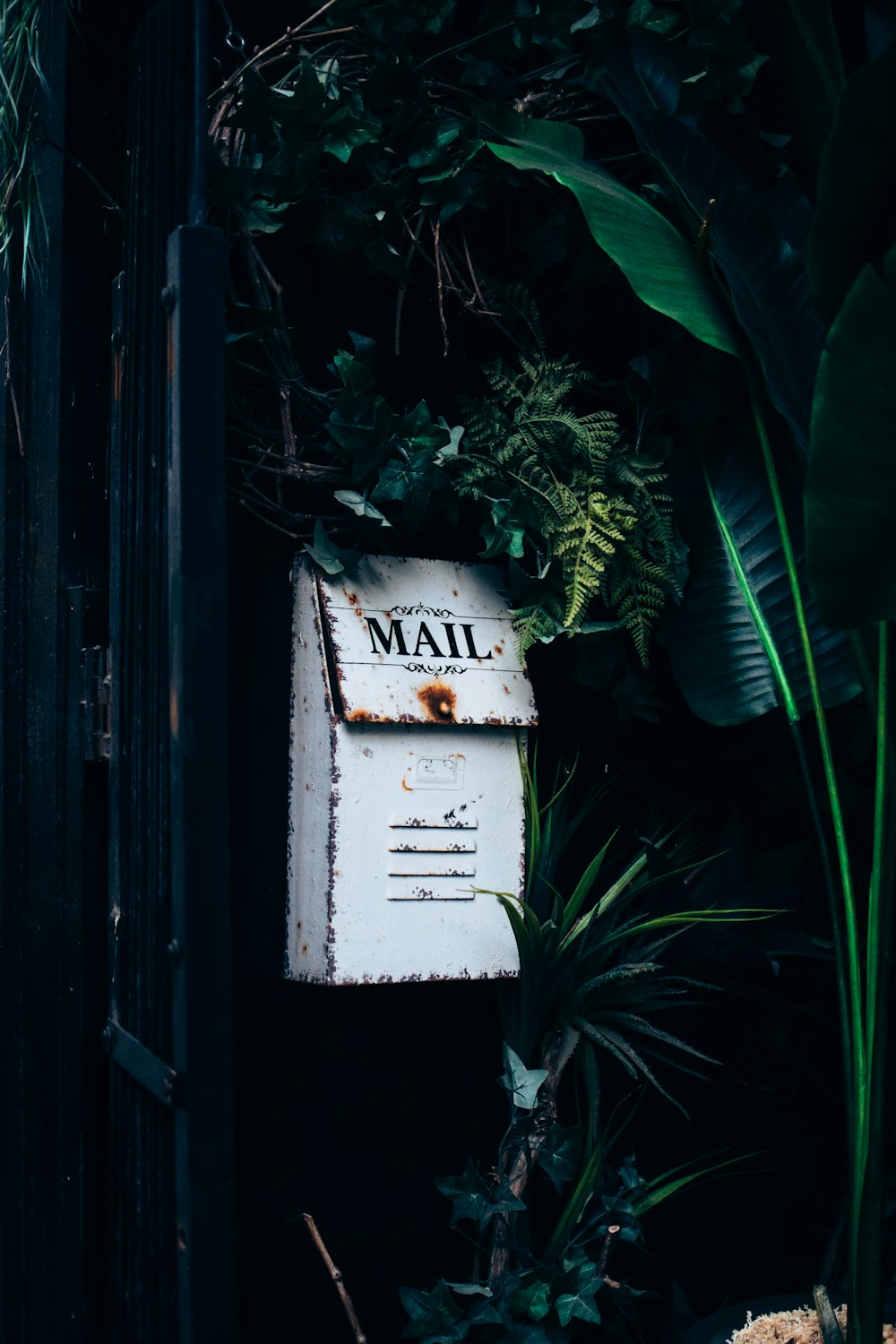 an old mailbox is surrounded by tropical plants