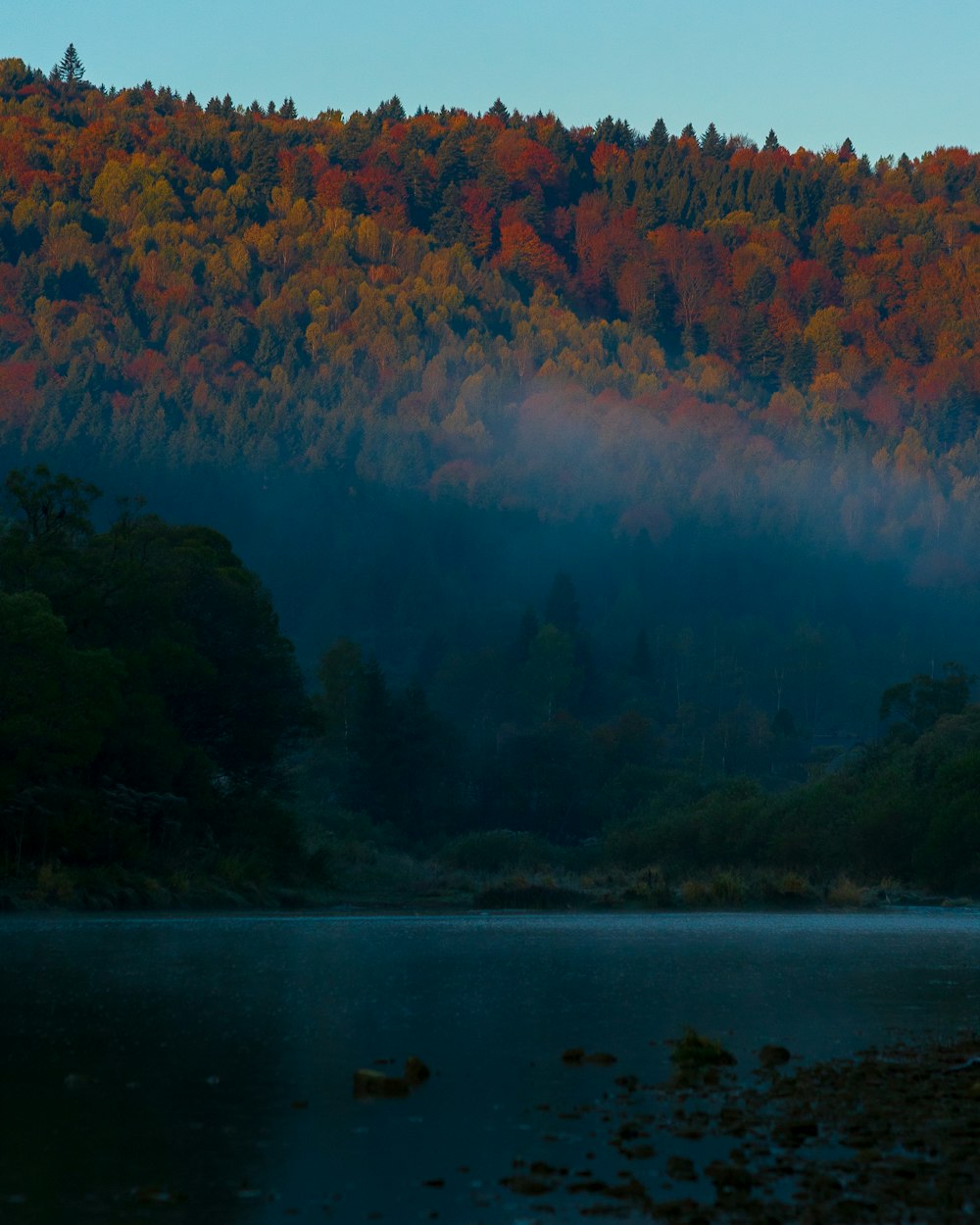 a lake surrounded by trees with a mountain in the background