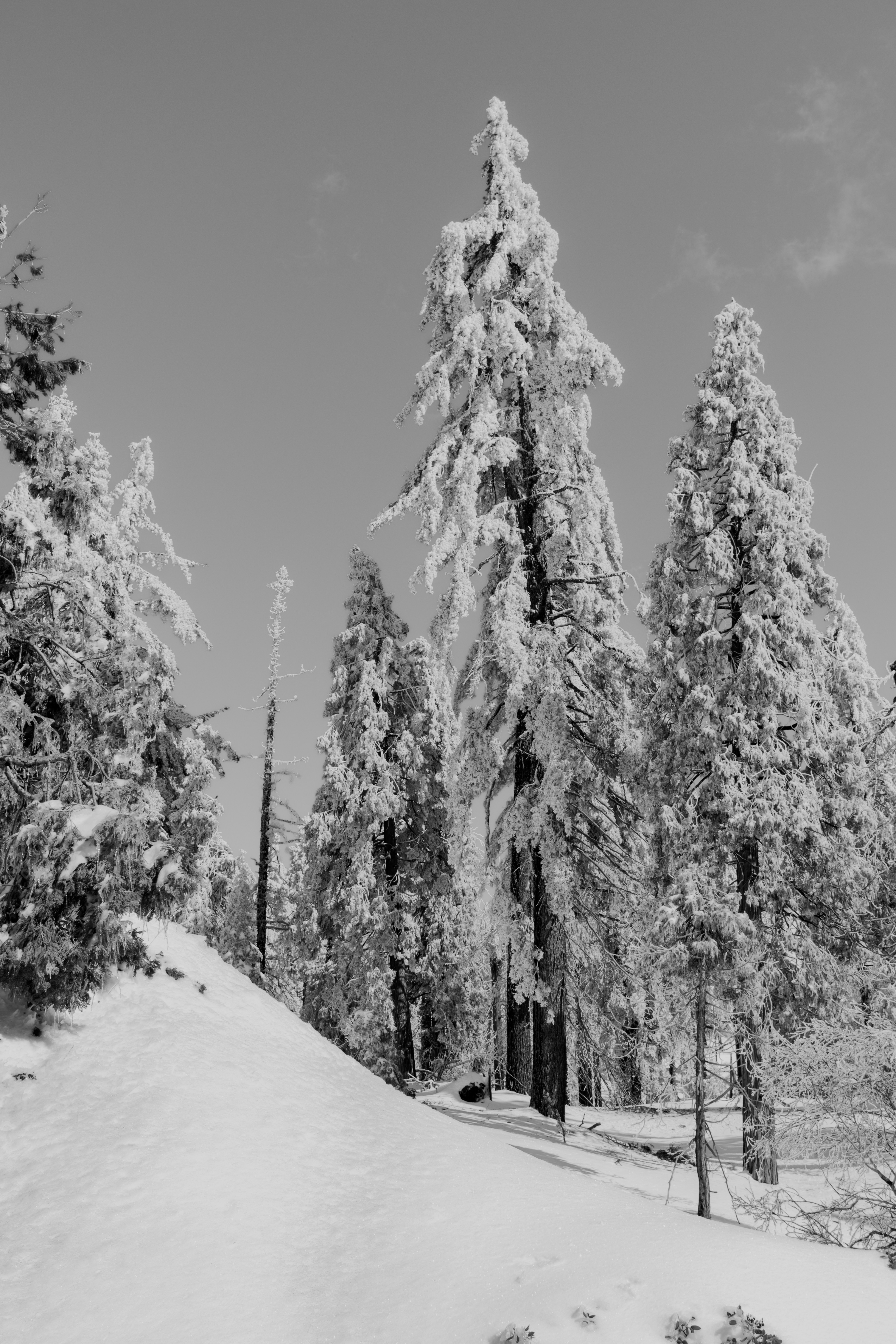 Photo by kalaniparker
