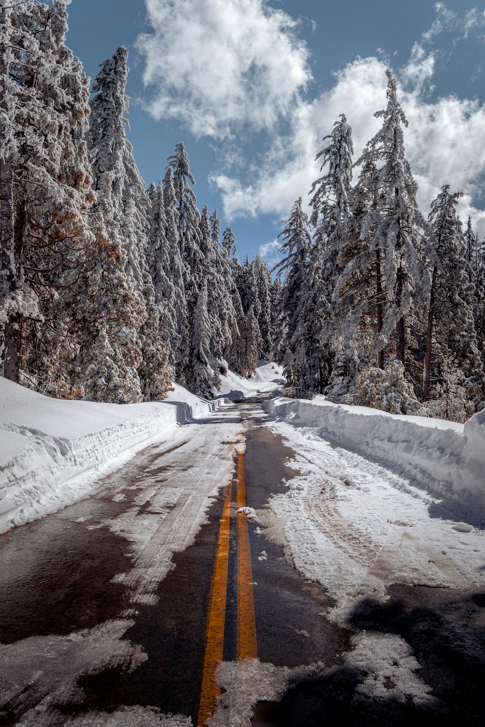 a snow covered road surrounded by trees and snow